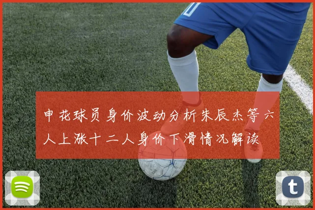 申花球员身价波动分析朱辰杰等六人上涨十二人身价下滑情况解读